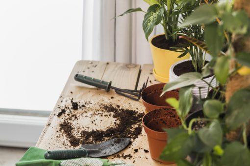 Herramientas Agrícolas y Jardín